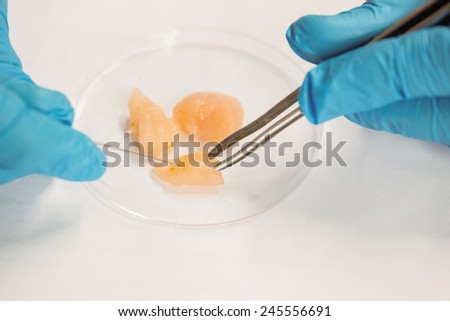 Food scientist dissecting raw chicken at the university