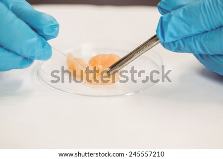 Food scientist dissecting raw chicken at the university