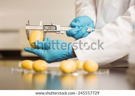 Food scientist measuring a potato at the university