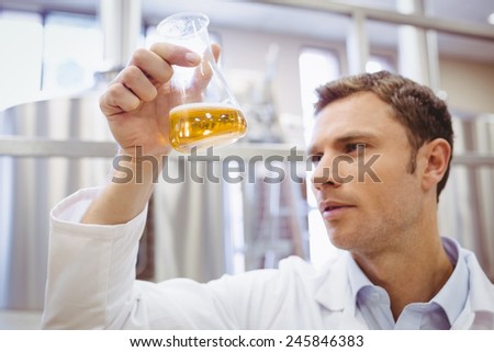 Focused scientist examining beaker with beer in the factory