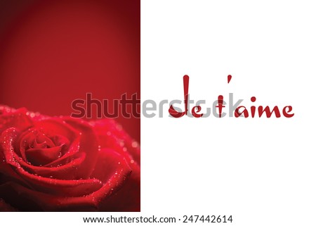 Red rose with rain drops against valentines love hearts