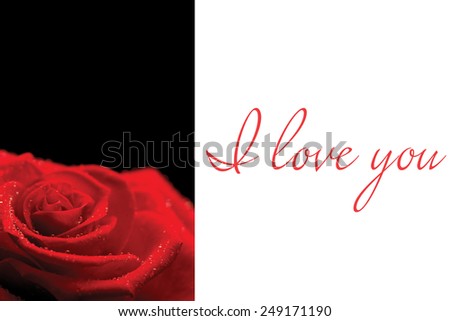 Red rose on black background against i love you