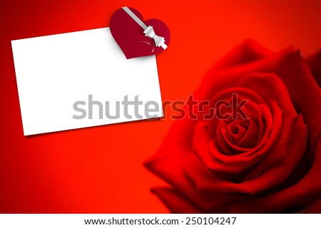 Red rose in bloom against white card
