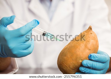 Food scientist injecting a potato at the university