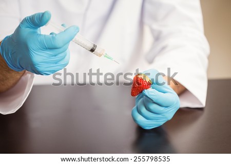 Food scientist injecting a strawberry at the university