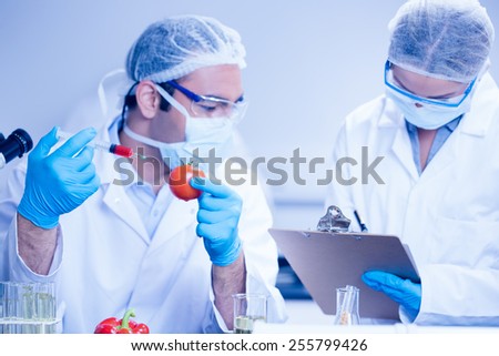 Food scientist injecting a tomato at the university