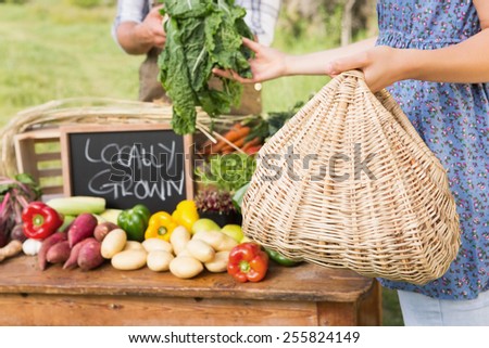 Farmer selling his organic produce on a sunny day