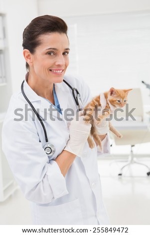 Veterinarian examining a cat in medical office