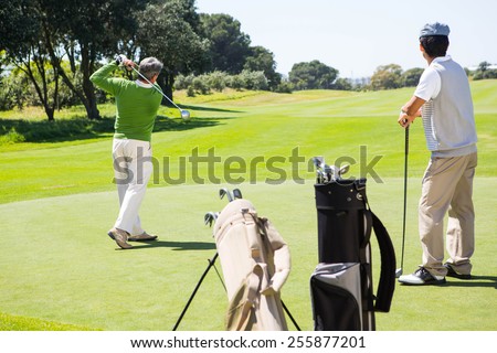 Golfer holding hole flag for friend putting ball at the golf course