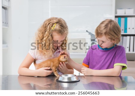 Happy owners petting their cat eating in medical office