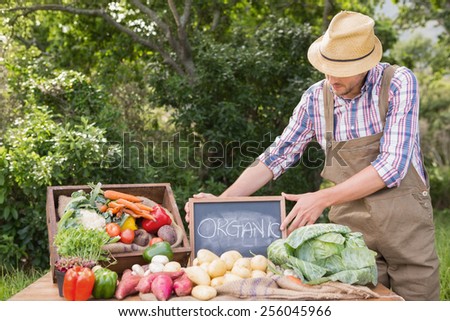 Farmer selling organic veg at market on a sunny day