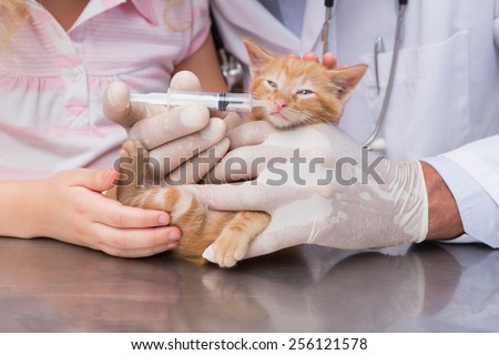 Veterinarian doing injection at a cute cat with it owner in medical office