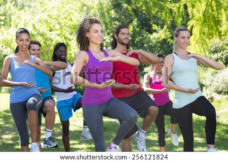 Fitness group doing tai chi in park on a sunny day