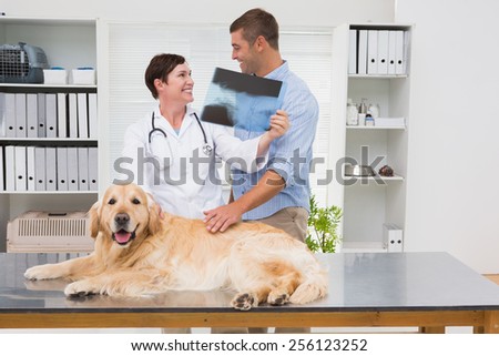 Veterinarian showing x-ray to dog owner in medical office