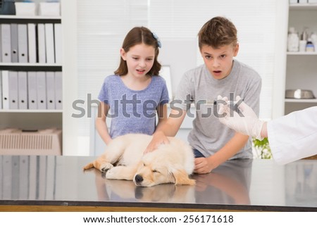 Vet examining a dog with its scared owner in medical office