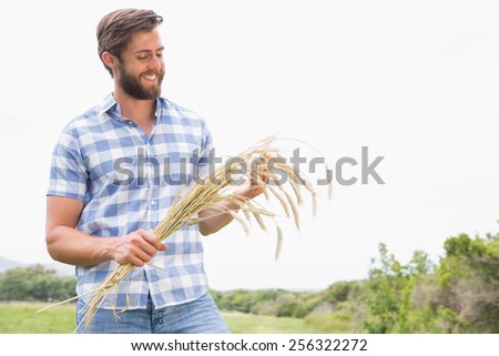 Happy man with his sheaf of wheat on a sunny day