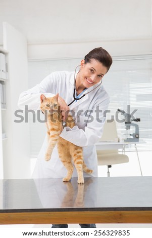 Veterinarian examining a cat in medical office