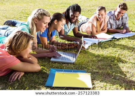 Students studying outside on campus on a sunny day