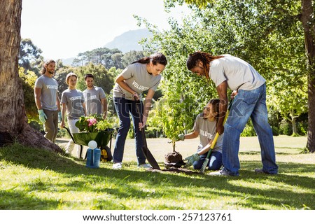 Team of volunteers gardening together on a sunny day