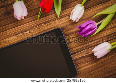Tulips forming frame around tablet on wooden table