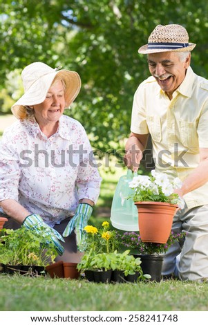 Happy senior couple gardening on a sunny day