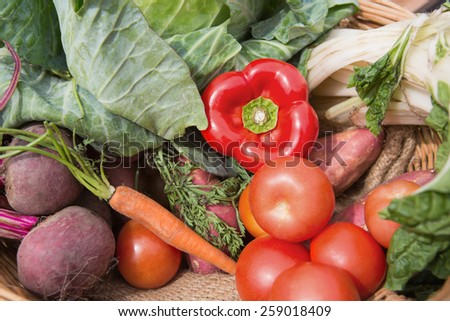 Basket of fresh organic veg on a sunny day