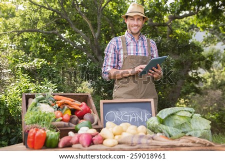 Farmer selling organic veg at market on a sunny day