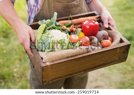 Farmer carrying box of veg on a sunny day