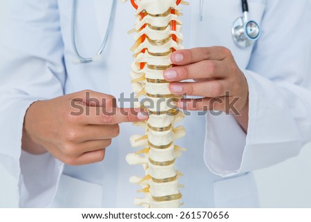 Doctor pointing an anatomical spine on white background