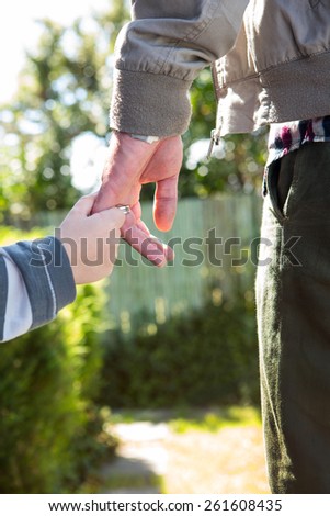 Father and son holding hands in the countryside