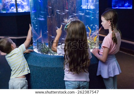 Cute children looking at fish tank at the aquarium