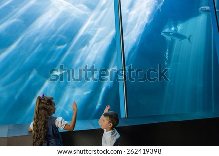 Little siblings looking at fish tank at the aquarium