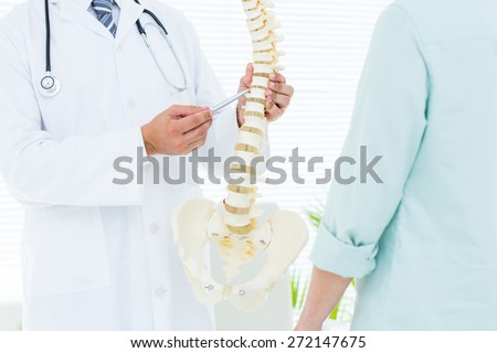 Doctor pointing anatomical spine in medical office