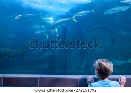 Young man looking at fish swimming at the aquarium