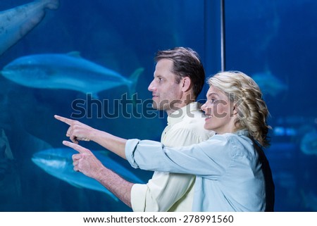 Happy couple pointing a fish tank at the aquarium