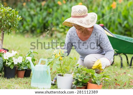 Happy grandmother gardening on a sunny day