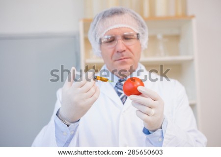 Food scientist working attentively with red tomato in laboratory