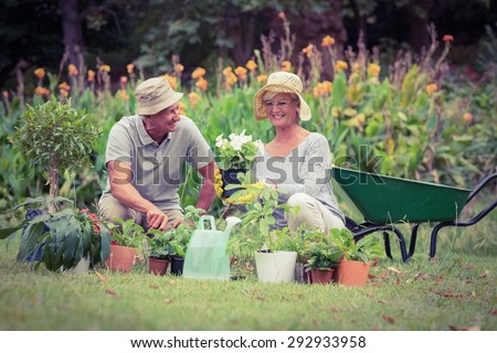 Happy grandmother and grandfather gardening on a sunny day