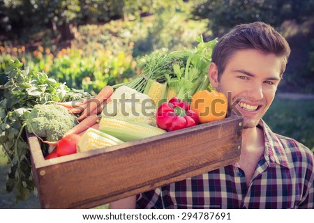 Handsome farmer with basket of veg on a sunny day