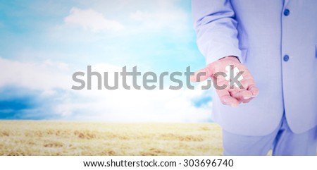 Handsome businessman gesturing with hands against blue sky over fields Handsome businessman gesturing with hands on a white background