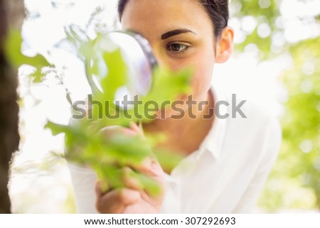 Beautiful brunette looking at plant through magnifying glass on a sunny day