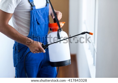 Midsection of pest control worker with sprayer standing at home