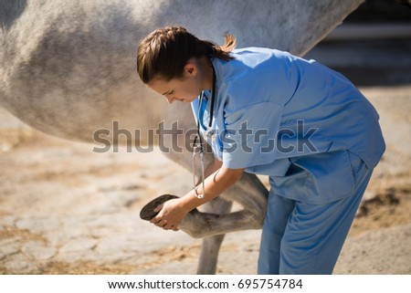 Side view of female vet examining horse hoof at barn