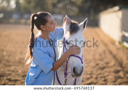 Side view of female vet checking horse ears while standing on field