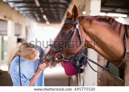Female vet checking horse teeth while standing in stable