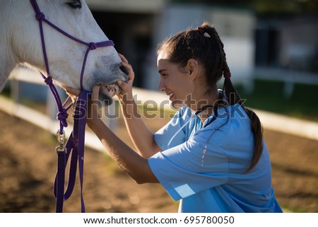 Side view of female vet checking horse teeth at paddock