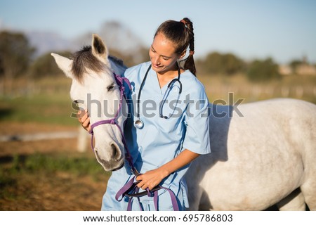 Female vet stroking horse while standing in ranch
