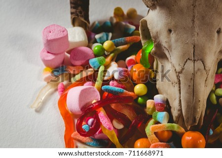 Close up of animal skull with various candies over white background