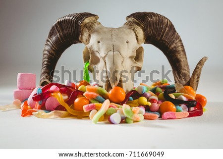 Animal skull with various candies over white background