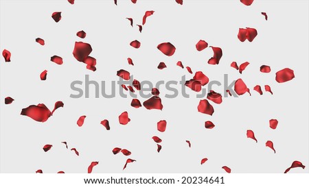  3d Rose Petals falling useful for valentines and wedding backgrounds